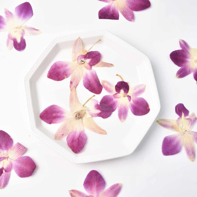 Resin Art Frame - 4 szt., Prawdziwe, prasowane kwiaty orchidei