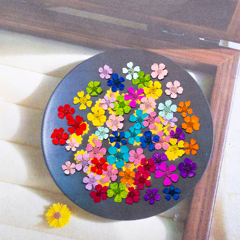 Resin Art Frame - 96 szt. Mini 1,5 cm Naturalne
