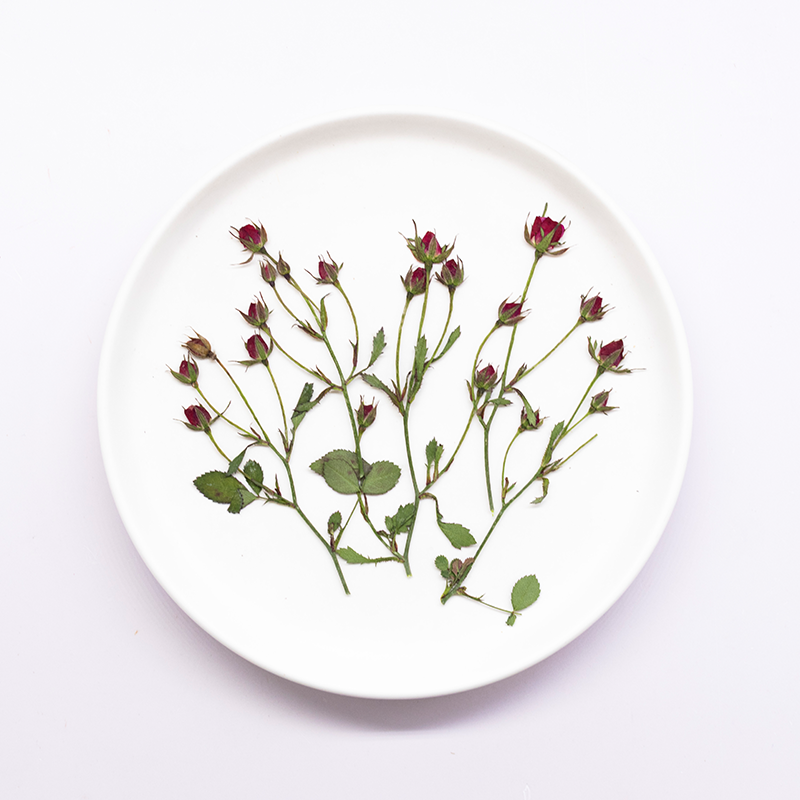 Resin Art Of Rose - 12 szt., Suszone róże, gałązki z