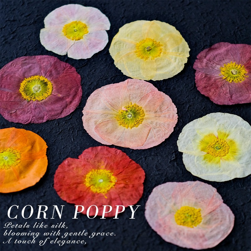 1 szt., Naturalne maki polne s – Resin Art Frame recenzja i cena