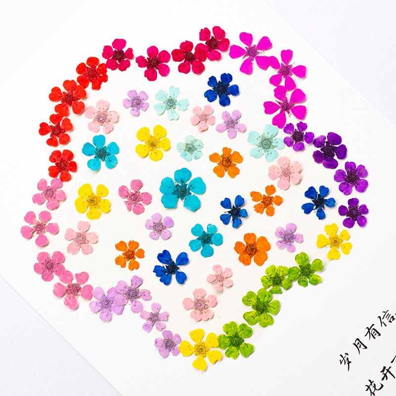 96 szt. Mini 1,5 cm Naturalne  – Resin Art Frame recenzja i cena