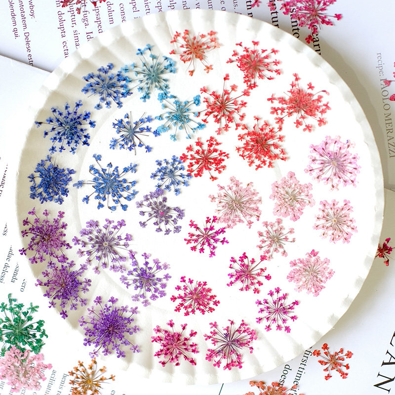 24 szt., 2-2,5 cm, Naturalnie  – Resin Art Frame recenzja i cena