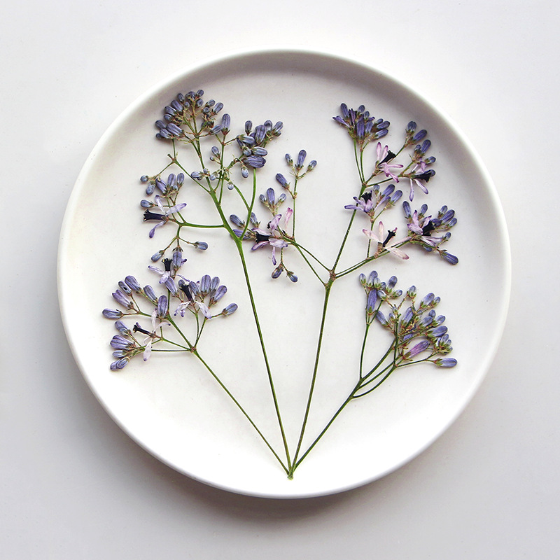 60 szt. Gałązek kwiatów drzewa – Resin Art Frame recenzja i cena