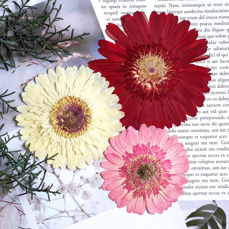 1 szt./7-9 cm, Suszone kwiaty  – Resin Art Sticker recenzja i cena