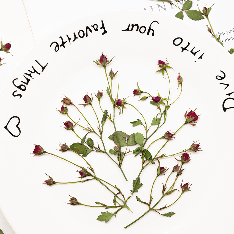 12 szt., Suszone róże, gałązki – Resin Art Of Rose recenzja i cena